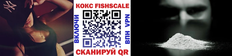 где продают   Торжок  COCAIN Fish Scale 
