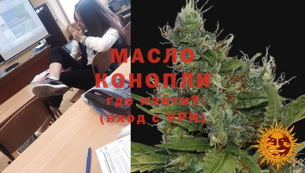 гашик Мегион