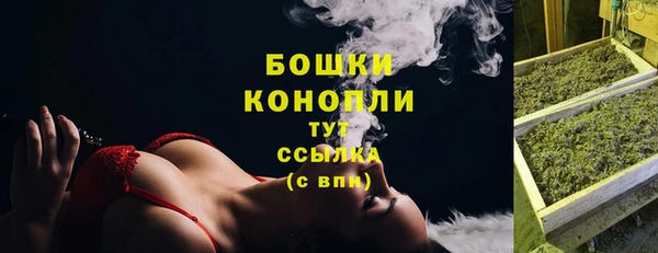 гашик Мегион
