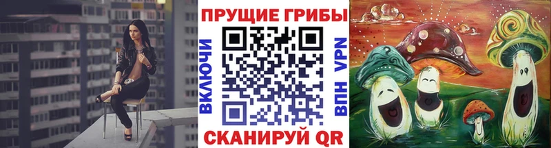 хочу   Торжок  Псилоцибиновые грибы Magic Shrooms 