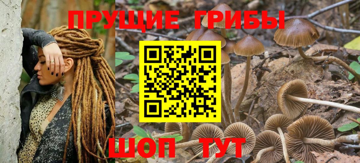 Торжок  Галлюциногенные грибы GOLDEN TEACHER  Вход с VPN 