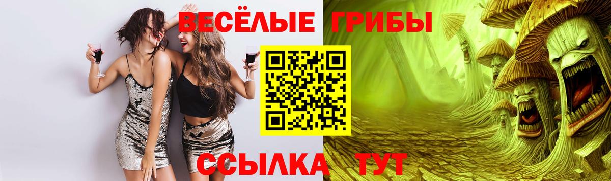 Псилоцибиновые грибы Cubensis Торжок