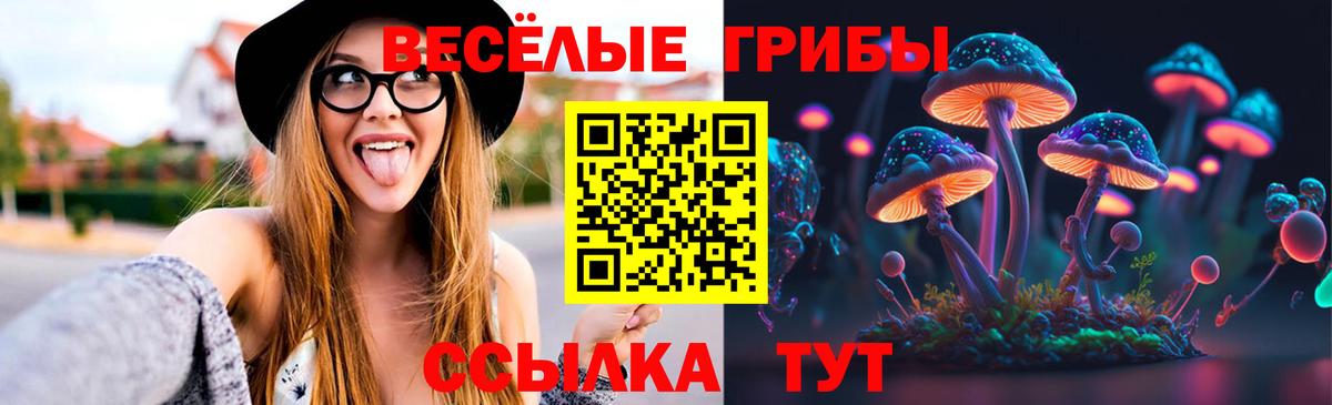 Псилоцибиновые грибы MAGIC MUSHROOMS Торжок
