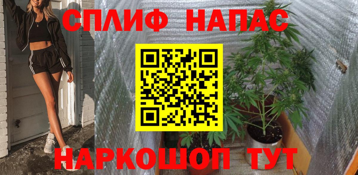 Бошки марихуана ГИДРОПОН Торжок
